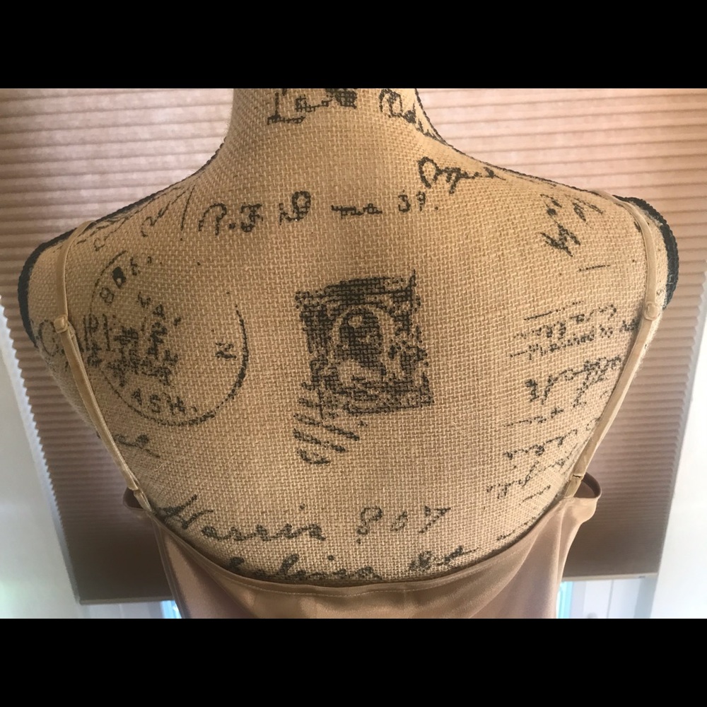 Gold Tank - Picture 5 of 8